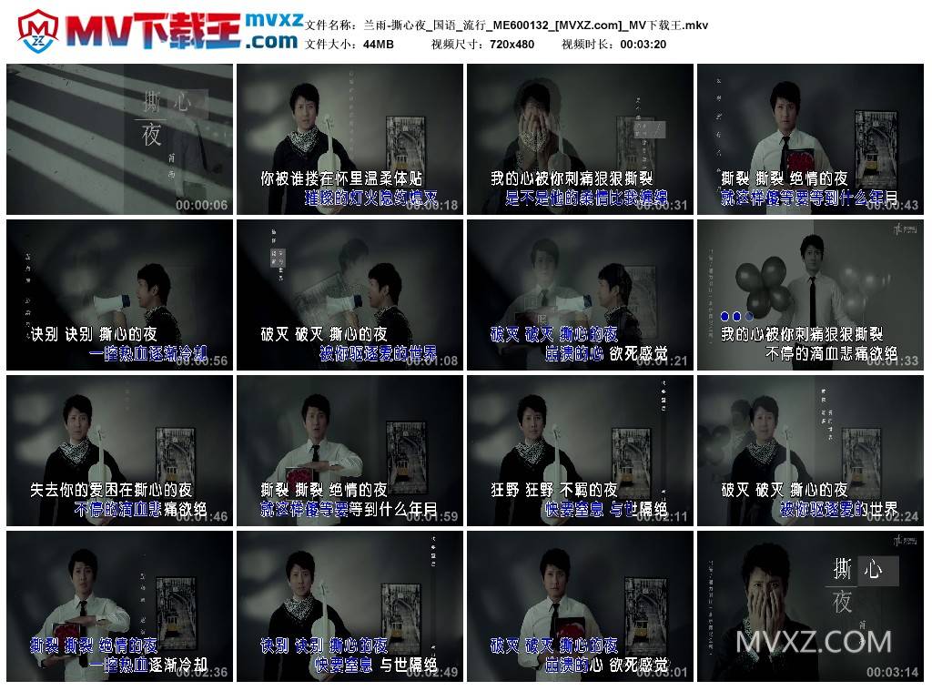 兰雨-撕心夜_国语_流行_ME600132